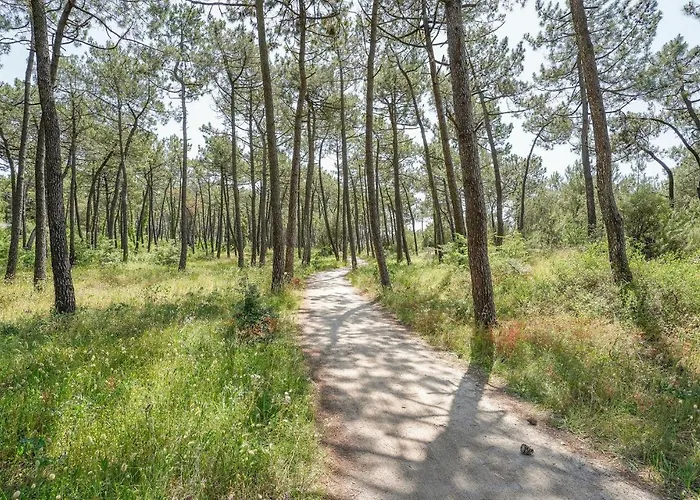 Дом отдыха Stunning In Ла-Фот-сюр-Мер